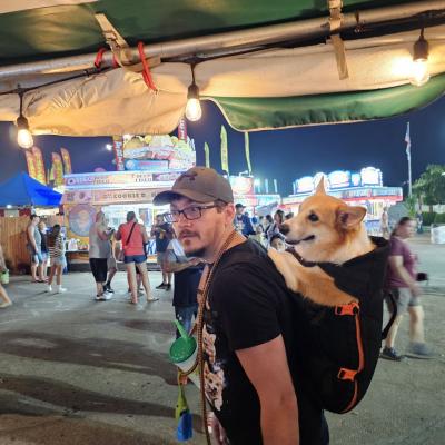 Fair13